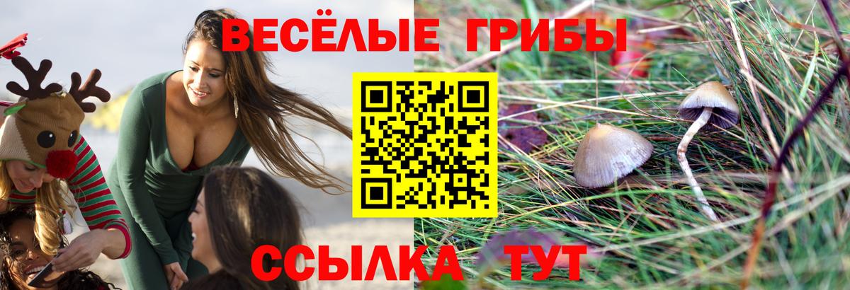 Йошкар-Ола  Псилоцибиновые грибы мицелий  Псилоцибиновые грибы Psilocybine cubensis  Вход с VPN 