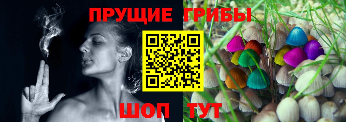 Галлюциногенные грибы Cubensis Йошкар-Ола